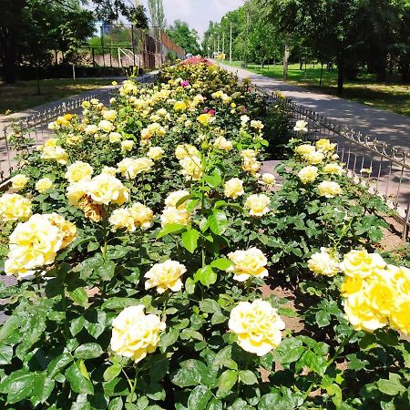 1-Комн. Квартира В Центре Возле Козак Палаца! Zaporizhia 외부 사진