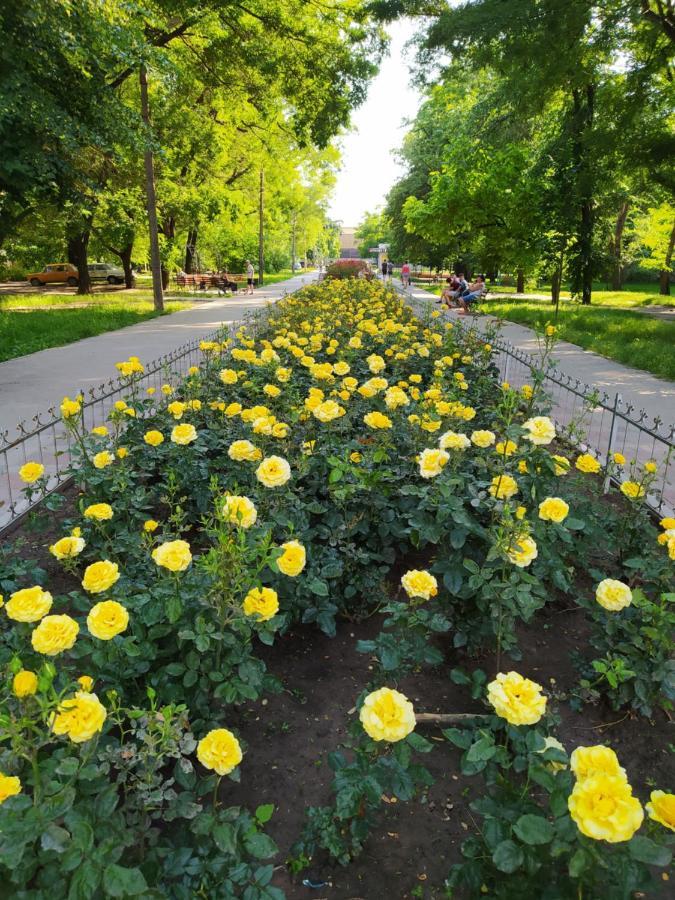 1-Комн. Квартира В Центре Возле Козак Палаца! Zaporizhia 외부 사진