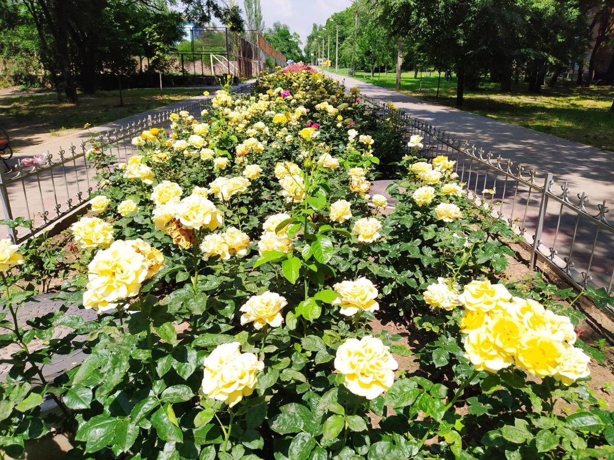 1-Комн. Квартира В Центре Возле Козак Палаца! Zaporizhia 외부 사진
